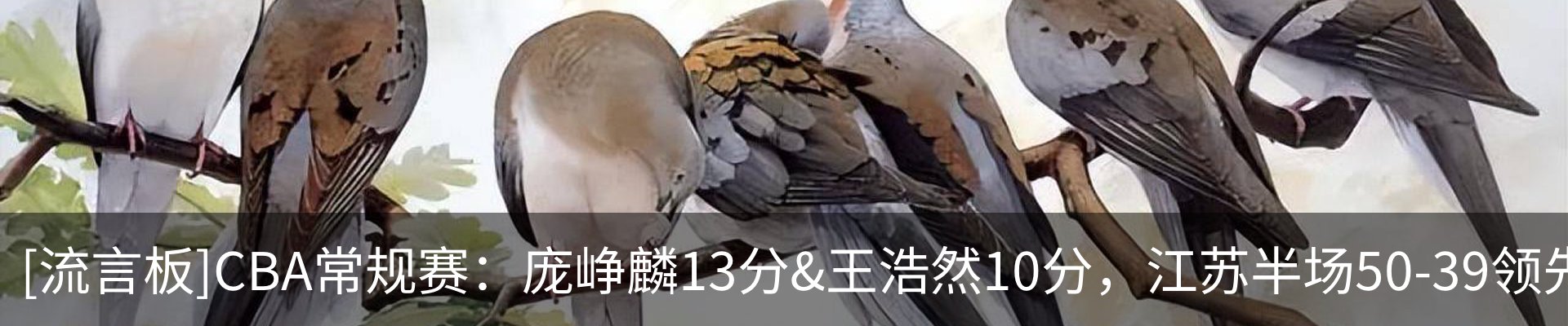 内页banner
